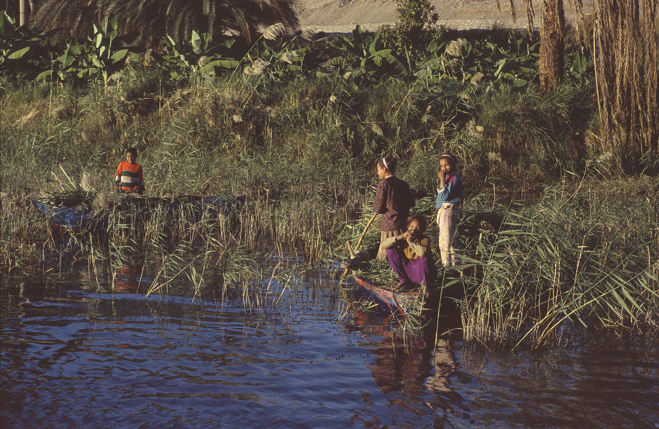 egyp04_32 nil  enfants.jpg - Sur le Nil enfants au travail Provia 100 F